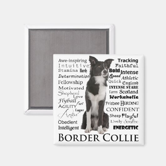 Band Collie Traits Magnet (Voorkant / Achterkant)