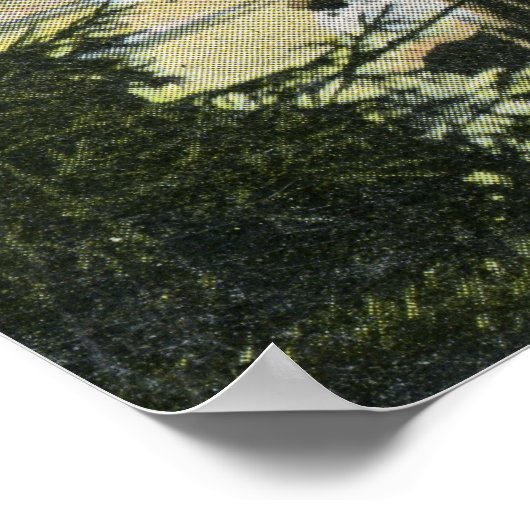 Band Concert, Delaware Park, Buffalo 1911  Poster (Hoek)