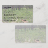 Band en habitat van de schildpad (Gopherus polyp) Visitekaartje (Voorkant / Achterkant)