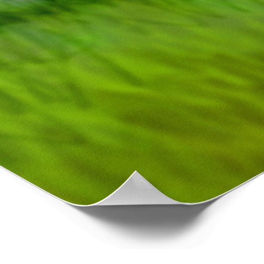 Band- en schapenklok afdrukken poster (Hoek)