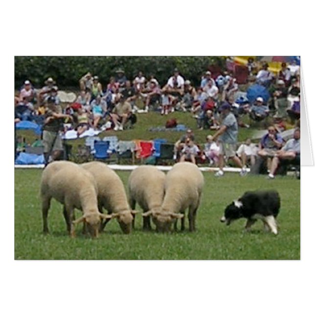 Band in actie (Voorkant Horizontaal)