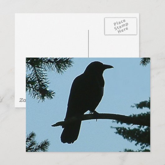 Band in de boom briefkaart (Voorkant / Achterkant)