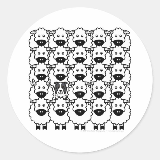 Band in de schapen ronde sticker (Voorkant)