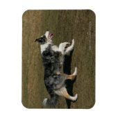 Band loopt 1 magneet (Verticaal)