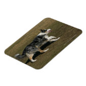 Band loopt 1 magneet (Linkerzijde)