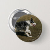 Band loopt 1 ronde button 5,7 cm (Voorkant /achterkant)