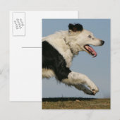 Band loopt 2 briefkaart (Voorkant / Achterkant)