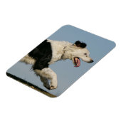 Band loopt 2 magneet (Linkerzijde)