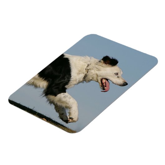 Band loopt 2 magneet (Linkerzijde)