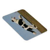 Band loopt 2 magneet (Rechterzijde)