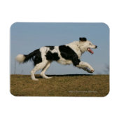 Band loopt 2 magneet (Horizontaal)