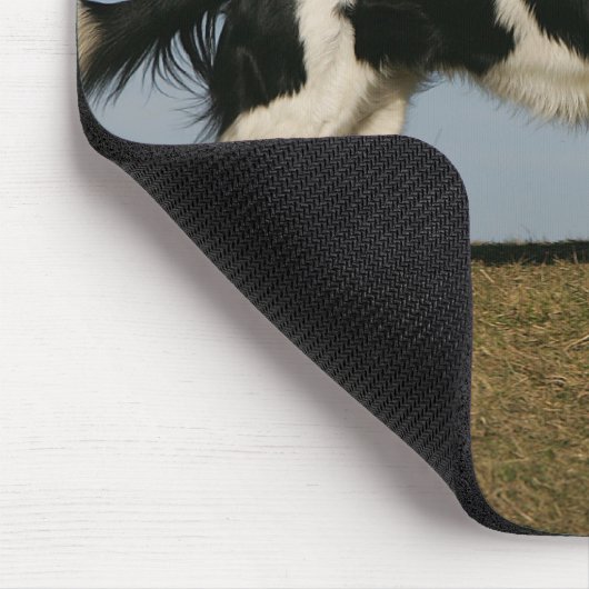 Band loopt 2 muismat (Hoek)