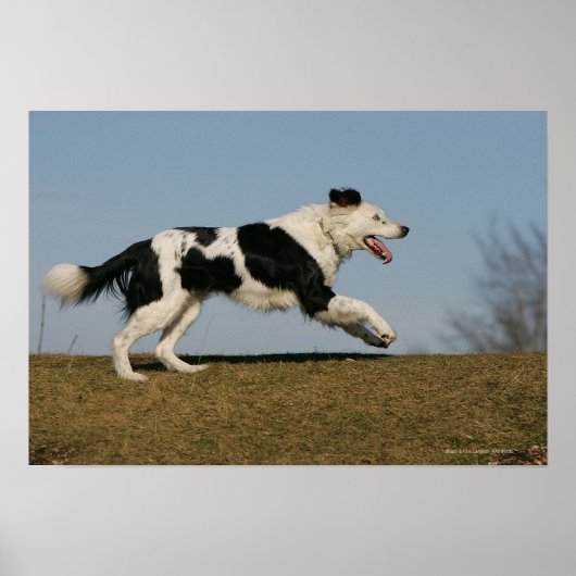 Band loopt 2 poster (Voorkant)