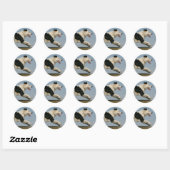 Band loopt 2 ronde sticker (Vel)