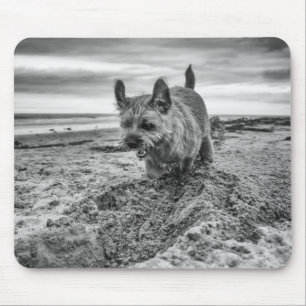 Band Terrier Digging, Fotografie, Mousepad Muismat