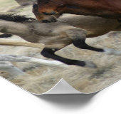 band van één poster (Hoek)