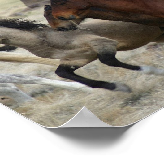 band van één poster (Hoek)