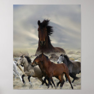 band van één poster