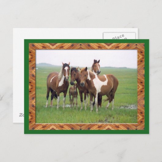 Band van het Briefkaart van appelmoes (Voorkant / Achterkant)