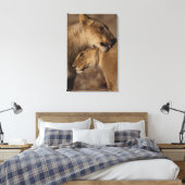 Band van leeuwen (Panthera leo), skelet Canvas Afdruk (Insitu (Slaapkamer))