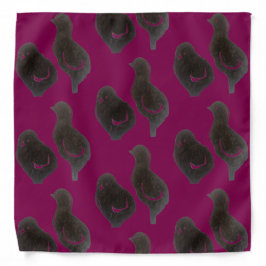 BANDANA studio miiri