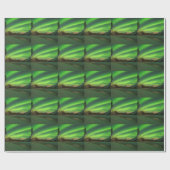 Banded Aurora Cadeaupapier (Vlak)