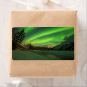 Banded Aurora Etiket (Insitu)