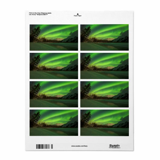 Banded Aurora Etiket (Full Sheet)