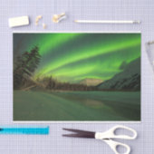 Banded Aurora Tissuepapier (Craft)