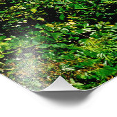 Banden, Barahona, Dominicaanse Republiek, 2 Foto Afdruk (Hoek)