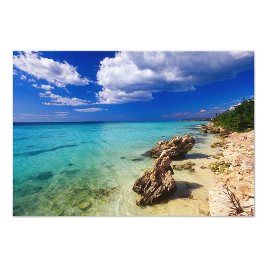 Banden, Barahona, Dominicaanse Republiek, 3 Foto Afdruk (Voorkant)