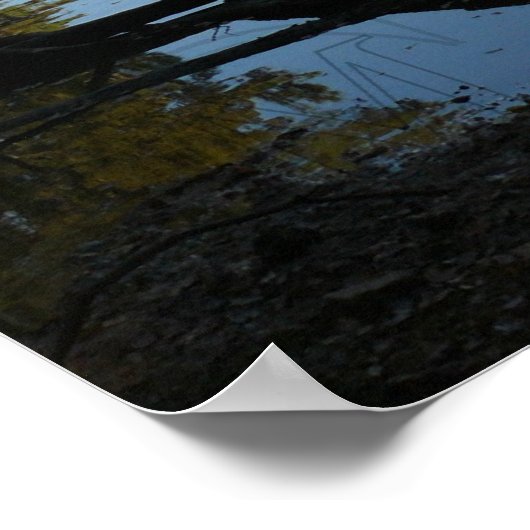 Banden stilstaande wateren poster (Hoek)