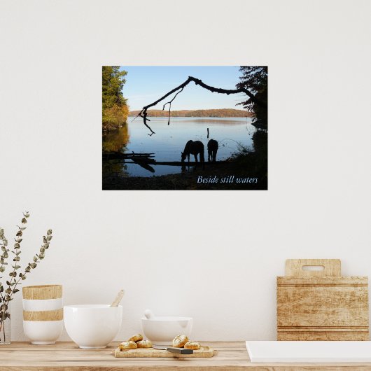 Banden stilstaande wateren poster (Keuken)