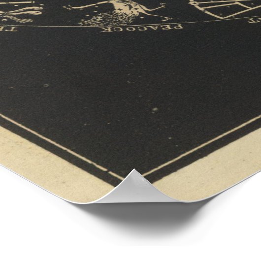 Banden van de planeten poster (Hoek)