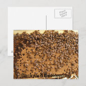 Bandenhouderij Briefkaart (Voorkant / Achterkant)