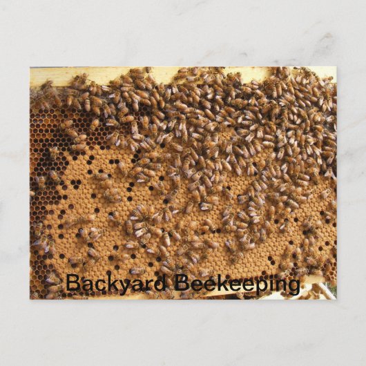 Bandenhouderij Briefkaart (Voorkant)