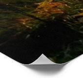 Bandensporen in het Bossen Poster Kunstwerk Muursc (Hoek)