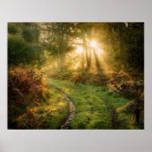 Bandensporen in het Bossen Poster Kunstwerk Muursc (Voorkant)