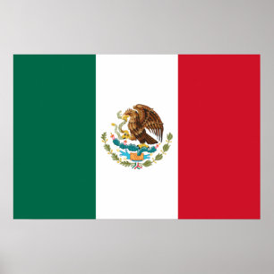 Bandera de Mexico National flag Mexicanos Poster