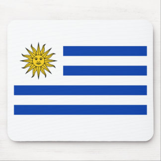 Bandera Uruguay Muismat