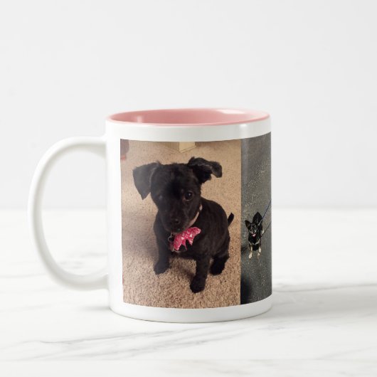 Bandit and Maggie Mok (Links)