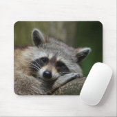 Bandit at Rest Cute Raccoon Muismat (Met muis)