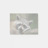 Bandit at Rest Cute Raccoon Post-it® Notes (Voorkant)