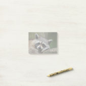 Bandit at Rest Cute Raccoon Post-it® Notes (Op bureau)