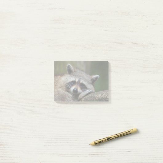 Bandit at Rest Cute Raccoon Post-it® Notes (Op bureau)