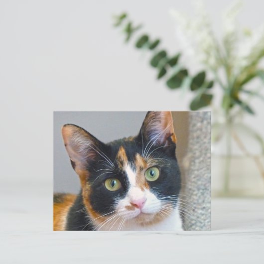 Bandit Briefkaart (Staand voorkant)