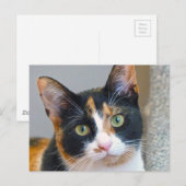 Bandit Briefkaart (Voorkant / Achterkant)