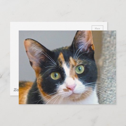 Bandit Briefkaart (Voorkant / Achterkant)