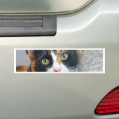 Bandit Bumpersticker (Op auto)