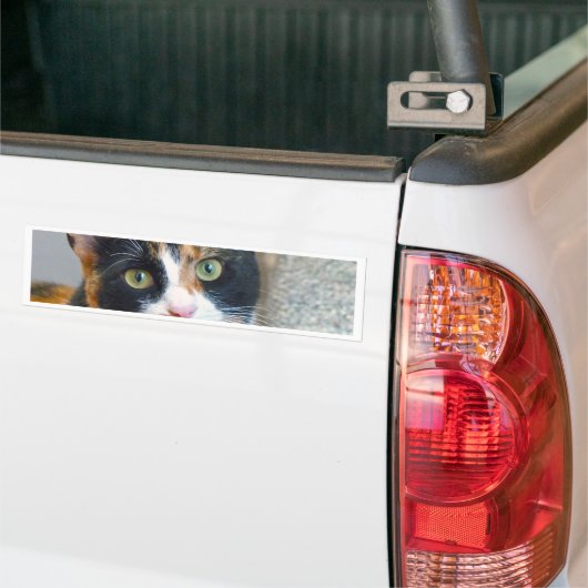Bandit Bumpersticker (Op Truck)